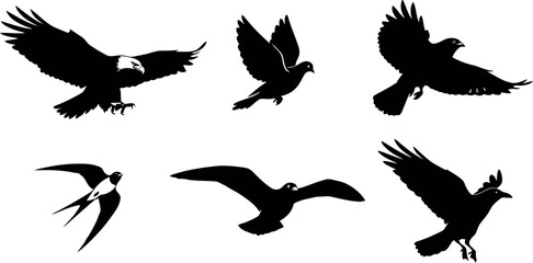 Vector art of collection of bird silhouettes in flight, including eagle, dove, crow, swallow, and seagull