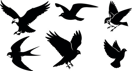 Fototapeta premium Vector art of assortment of bird silhouettes in flight