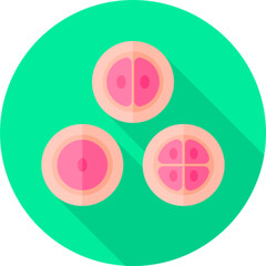 Cells Biology Icon