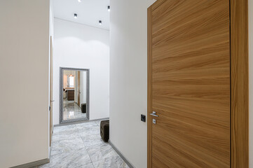 Modern interior with a wooden door, a large mirror reflecting another room, and light-colored walls