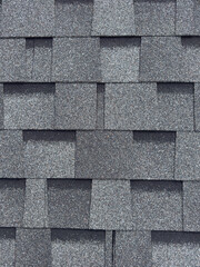 Modern shingle roof