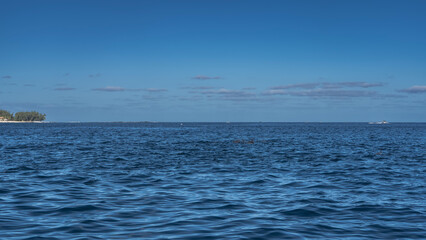 The endless blue ocean. Ripples on the surface. The backs and dorsal fins of dolphins are visible above the water.  A boat on the horizon. The coast of the island is far away. Azure sky, clouds
