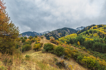 mountain landscape in autumn