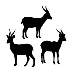 Three black silhouettes of gazelles standing in different poses against a white background