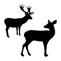 Silhouette of a majestic stag with large antlers and a graceful doe standing against a white background
