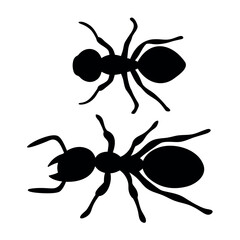 Two silhouetted ants displaying their distinct body segments and antennae against a white background