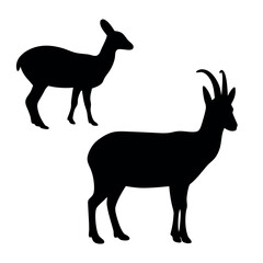Silhouettes of two different antelope species standing against a white background