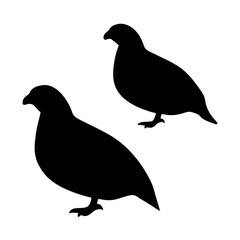 Two black silhouettes of quail birds standing on a white background