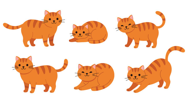 Adorable Orange Tabby Cat Poses Collection.