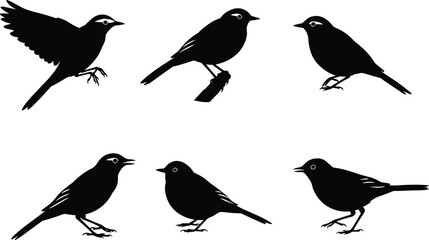 Blackbird silhouette vector illustration set with perched and flying poses, detailed minimal artwork design for wildlife, nature, decoration and printing.