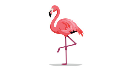 Elegant Pink Flamingo Standing on One Leg a Tropical Bird Illustration.