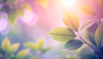 Soft-focus photo of fresh green leaves glowing in sunlight. Perfect for eco themes, wellness, sustainability, mindfulness, and natural beauty designs.