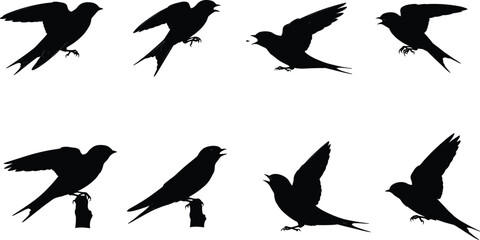 Silhouette vector illustration of swallows in flight and perched positions, showing different poses, perfect for decorative wildlife and nature design.