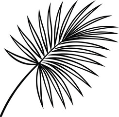 palm leaf with light line art on transparent background