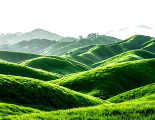 Rolling hills of vibrant green grass, soft mountains in hazy light