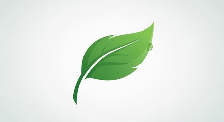 Obraz premium A single, vibrant green leaf with a water droplet against a white background.