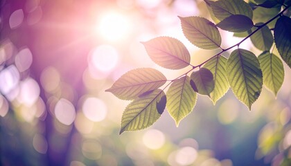 Soft-focus photo of fresh green leaves glowing in sunlight. Perfect for eco themes, wellness, sustainability, mindfulness, and natural beauty designs.