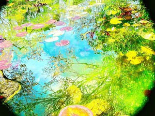 池の水面に映る木々と空と睡蓮の葉が織りなす鮮やかなパステルカラーの世界