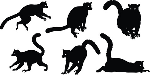 Lemur silhouettes, wildlife illustration, exotic animals, long tails, Madagascar primates, animal poses, nature art, black shapes, jungle creatures, biodiversity design