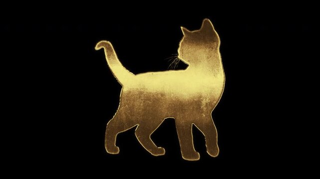 Cat with slightly reflected outlines on a gold foil-like surface, loop, alpha channel

