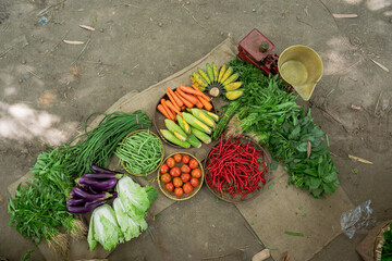 A vibrant assortment of fresh vegetables arranged for sale, highlighting natural colors and textures.