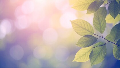 Soft-focus photo of fresh green leaves glowing in sunlight. Perfect for eco themes, wellness, sustainability, mindfulness, and natural beauty designs.