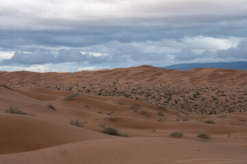 camino de dunas