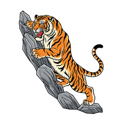 A fierce tiger with orange and black stripes climbs a rocky outcrop with its claws extended.