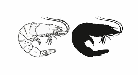 Fototapeta premium Two shrimp, one detailed outline and one silhouette, isolated on white