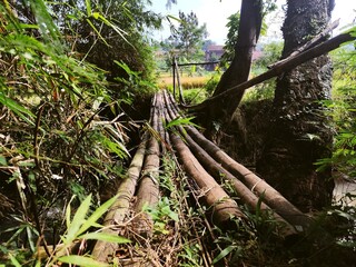 Rustic Wooden Pole Bridge Crossing a Small Stream in Lush Nature
