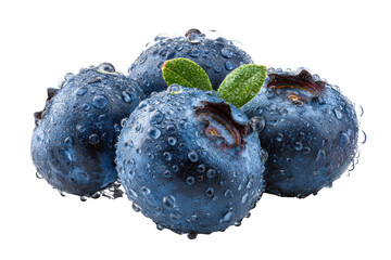 A close up of four blueberries with a leaf on top. The blueberries are wet and shiny