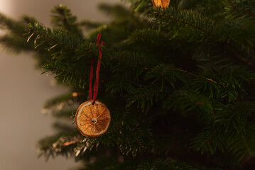 Dried orange as a decoration hanging on christmas tree