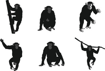 Chimpanzee silhouette vector illustration set, monkey poses sitting and climbing, wild primate animal design, jungle wildlife artwork, black ape clipart collection