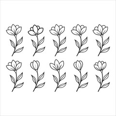 flower, vector, nature, leaf, floral, plant, art, design, summer, blossom, decoration, flora, element, leaves,  Flowers Vector, Editable Flower Vector, Line art, floral, graphic, Horizontal Floral Div