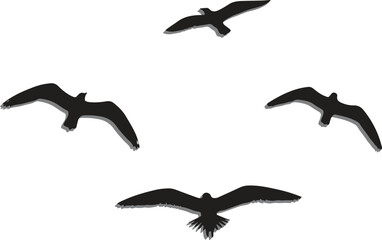 Vector art of four black silhouette birds flying in the sky
