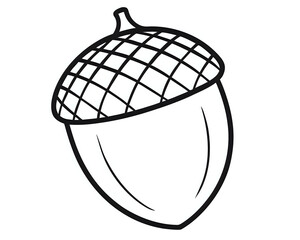 acorn, illustration outline isolated on white background