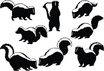 Skunk silhouette vector collection, black and white wildlife animal design, walking, sitting, standing, tail up, nature illustration, woodland mammal art