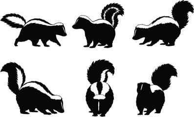 Skunk silhouette vector collection, black and white wildlife illustration, standing, walking, tail raised, forest mammal design, animal artwork, nature character