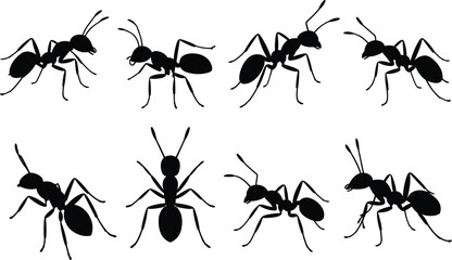 Fototapeta premium Ant silhouette vector set, insect poses collection, black ant icons, isolated bug illustrations, cad drawing flat vector illustration