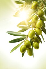 Healthy and Green Olive Food