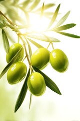 Healthy and Green Olive Food