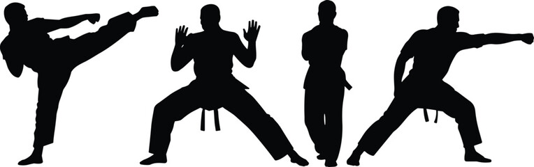 Martial arts silhouette, karate pose vector, taekwondo kick illustration, self defense stance, combat training icon, cad drawing flat vector illustration
