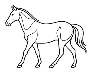 horse, illustration outline isolated on white background