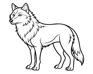 Obraz premium wolf, illustration outline isolated on white background
