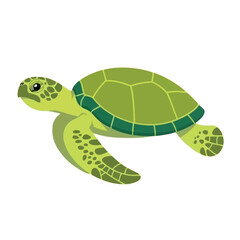 Whimsical green sea turtle swimming gracefully through clear ocean waters a charming marine life concept illustration