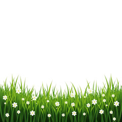 Fototapeta premium A vibrant patch of grass with scattered daisy flowers below isolated on transparent background
