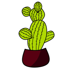 vector illustration of a cactus plant