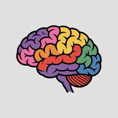 Colorful human brain lobes anatomy knowledge concept creative idea thinking mind intelligence symbol illustration