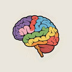 Colorful human brain lobe diagram flat design concept anatomical medical science neurology mind intelligence illustration