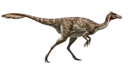 Gallimimus Dinosaur Isolated on Transparent Background